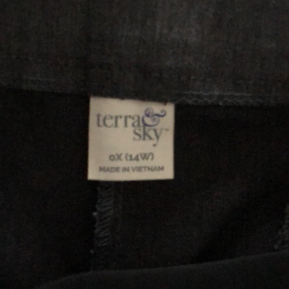 Woman’s Terra & Sky size 14W gray slacks with front pockets and tummy control - Picture 7 of 12